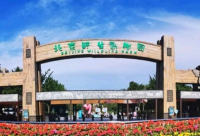 北京野生动物园“蓝色小镇”试运营，令人惊叹的全新动物展览体验