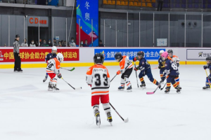 168B京娱乐-"北京市二冬会冰球比赛圆满收官，600余名参赛选手凸显北京冰球实力"