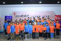 168b京娱乐-2023“双城杯”围棋交流赛（半决赛）在体育大厦举行